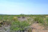 TBD Agua Blanca Road - Photo 27