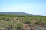 TBD Agua Blanca Road - Photo 28