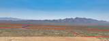 TBD Agua Blanca Road - Photo 4