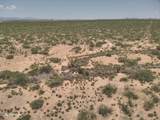 TBD Agua Blanca Road - Photo 7