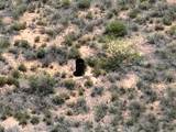 TBD Agua Blanca Road - Photo 8
