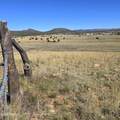 2M Elk Ridge Road - Photo 2