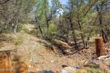 7C Elk Song Trl - Photo 4