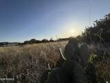 9365 Steven Trail Trail - Photo 1