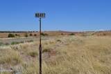 Lot 863 Acr N8497 - Photo 10