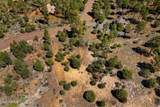 2795 Skyhawk Drive - Photo 6