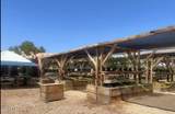 27702 Black Cyn Highway - Photo 4