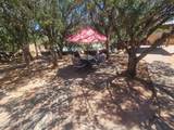 972 Deer Creek Drive - Photo 39