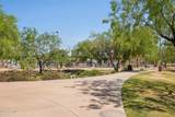 7788 Phantom Way - Photo 44