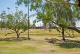 7788 Phantom Way - Photo 45