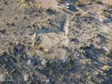 033E Millennium Way - Photo 28