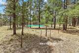 2197 Running Deer Street - Photo 9