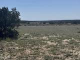 Lot 531 Woodland Valley Ranch - Photo 1