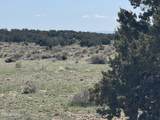 Lot 531 Woodland Valley Ranch - Photo 10