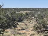 Lot 531 Woodland Valley Ranch - Photo 12