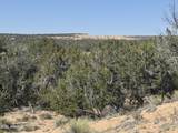 Lot 531 Woodland Valley Ranch - Photo 13