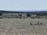 Lot 531 Woodland Valley Ranch - Photo 14