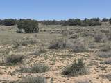 Lot 531 Woodland Valley Ranch - Photo 15