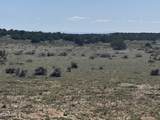 Lot 531 Woodland Valley Ranch - Photo 18