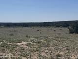 Lot 531 Woodland Valley Ranch - Photo 2