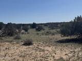 Lot 531 Woodland Valley Ranch - Photo 20