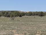 Lot 531 Woodland Valley Ranch - Photo 21