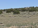 Lot 531 Woodland Valley Ranch - Photo 23