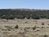 Lot 531 Woodland Valley Ranch - Photo 29