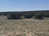 Lot 531 Woodland Valley Ranch - Photo 3