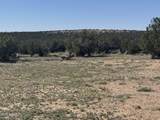 Lot 531 Woodland Valley Ranch - Photo 4