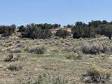 Lot 531 Woodland Valley Ranch - Photo 6