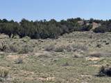 Lot 531 Woodland Valley Ranch - Photo 7