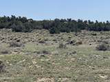 Lot 531 Woodland Valley Ranch - Photo 8