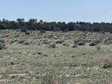 Lot 531 Woodland Valley Ranch - Photo 9