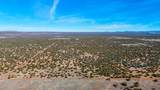 9023 Appaloosa Trl Lot E, 10 Acres - Photo 27