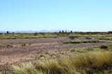 .41 Acres Old Brooks Road - Photo 1