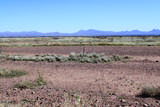 .41 Acres Old Brooks Road - Photo 3