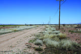.41 Acres Old Brooks Road - Photo 6