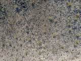 0 Barcelona Road - Photo 18