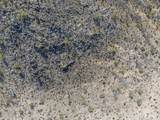 0 Barcelona Road - Photo 20