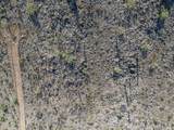 0 Barcelona Road - Photo 5