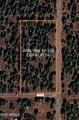41 County Rd N3127 - Photo 3