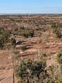 #59 River Springs Ranch - Photo 10