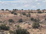 #59 River Springs Ranch - Photo 3