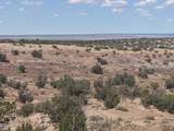 #59 River Springs Ranch - Photo 7
