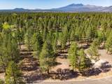 3655 Woodland Hills Lot #366 Drive - Photo 14
