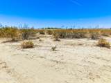 0 339th Avenue - Photo 13