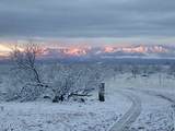 000 Cougar Trail - Photo 12