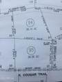 000 Cougar Trail - Photo 14