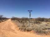 000 Cougar Trail - Photo 19